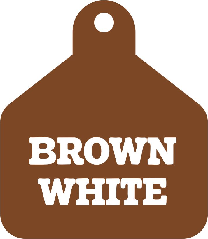 Custom Laser-Engraved Livestock Tags